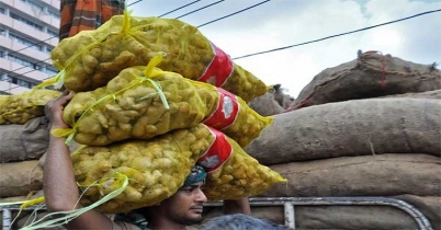 খাতুনগঞ্জে আদার দাম কমল কেজিতে ২০ টাকা